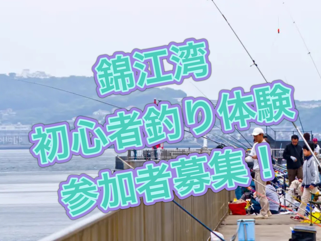 錦江湾「初心者釣り体験」参加者募集 令和3年11月23日（火曜日）実施 イメージ画像