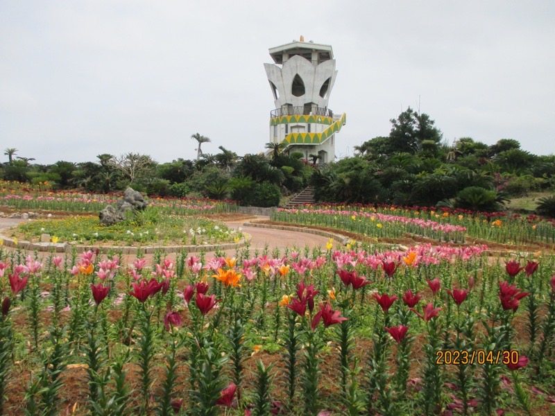 笠石海浜公園　キャンプもできる花が咲き誇る癒しスポット イメージ画像