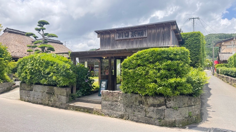 知覧武家屋敷　川口茶舗でお茶しませんか？ イメージ画像