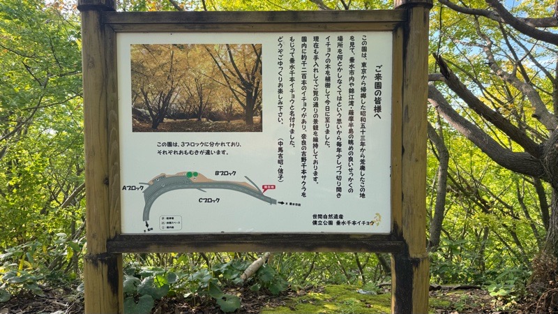 千本いちょう園 イメージ画像